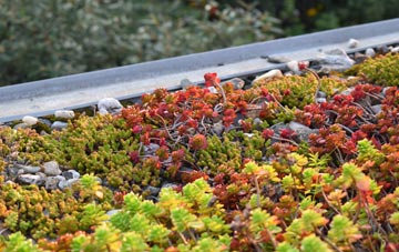 the cost of Birkhill green roof installation
