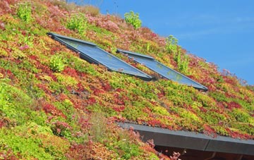 Birkhill living roof systems