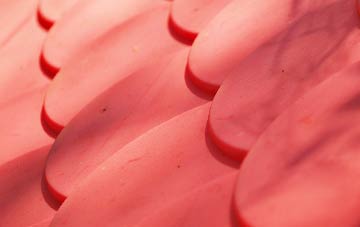 Birkhill plastic roof costs