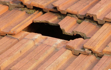 roof repair Birkhill