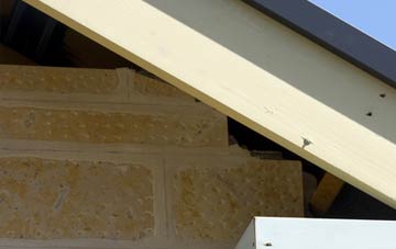 soffit repair Birkhill