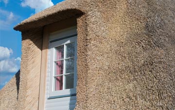 Birkhill thatch roof disadvantages