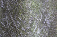 Birkhill fibreglass roof work